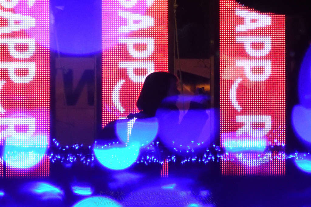 札幌の冬を彩る代表的なイベント「ホワイトイルミネーション」